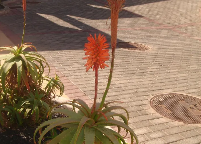 Salinas De Matagorda